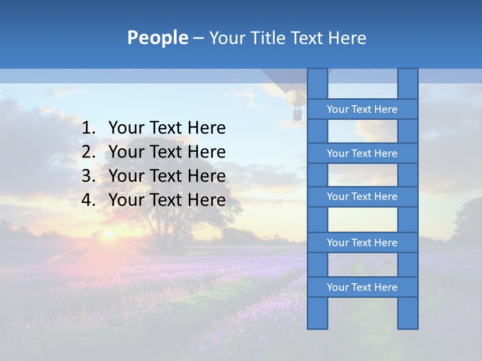 Beautiful Flying Evening PowerPoint Template