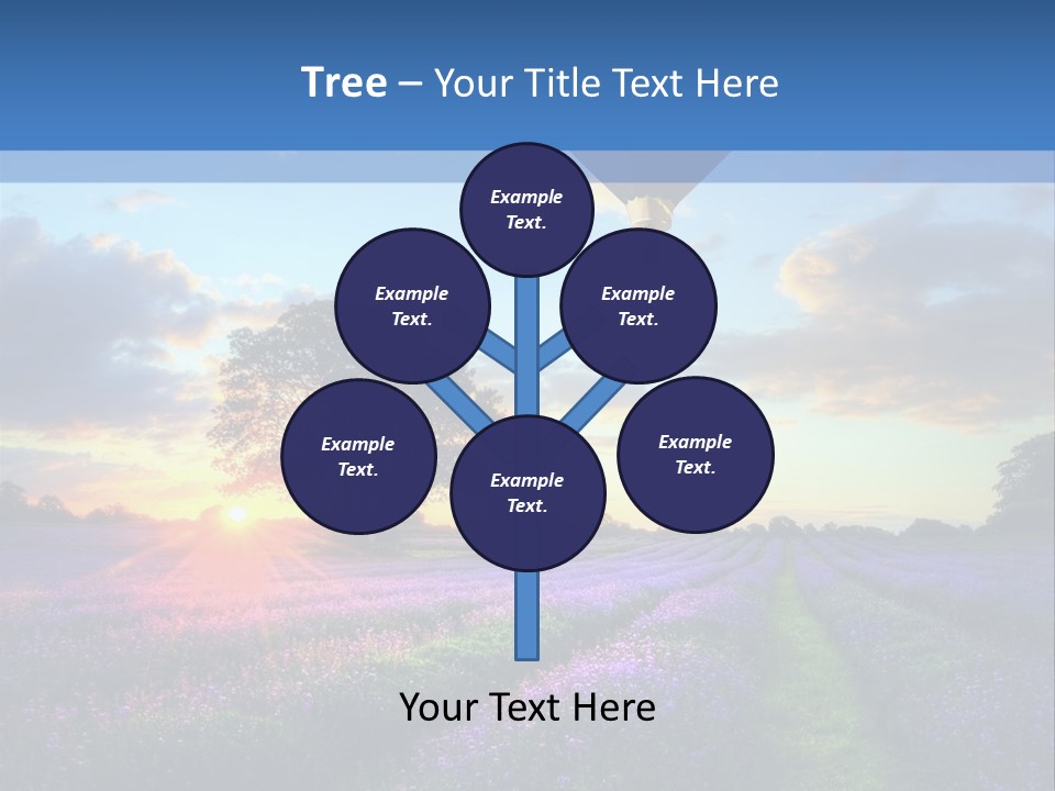 Beautiful Flying Evening PowerPoint Template