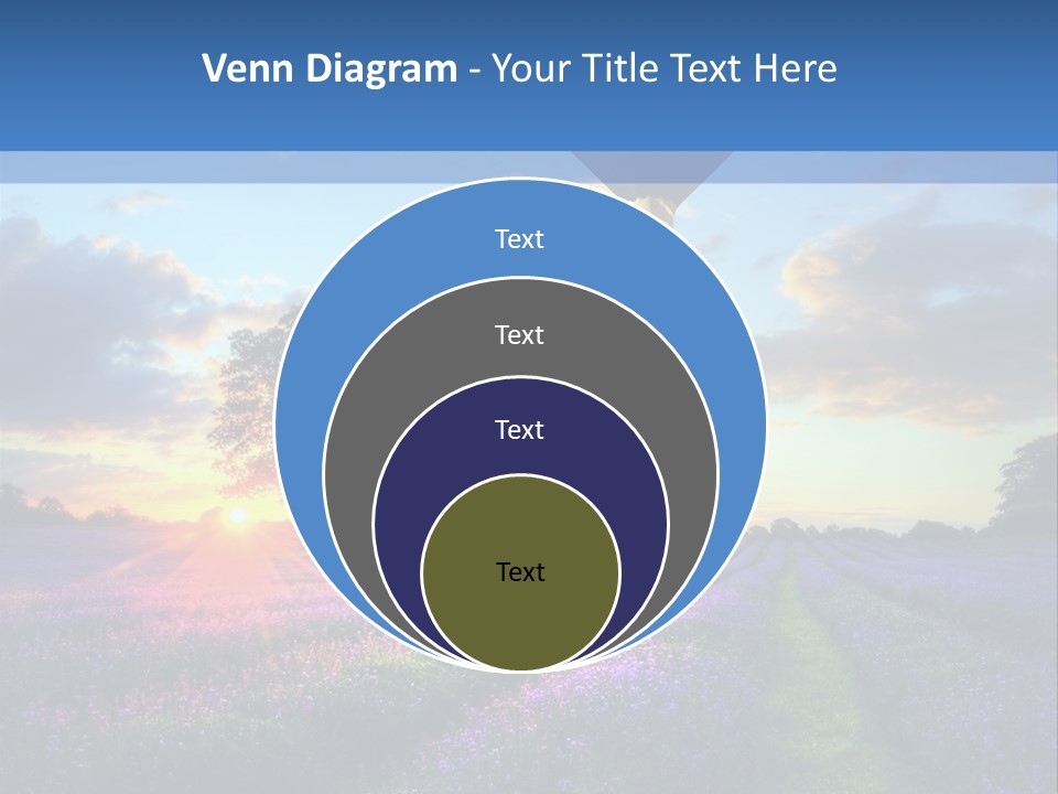 Beautiful Flying Evening PowerPoint Template