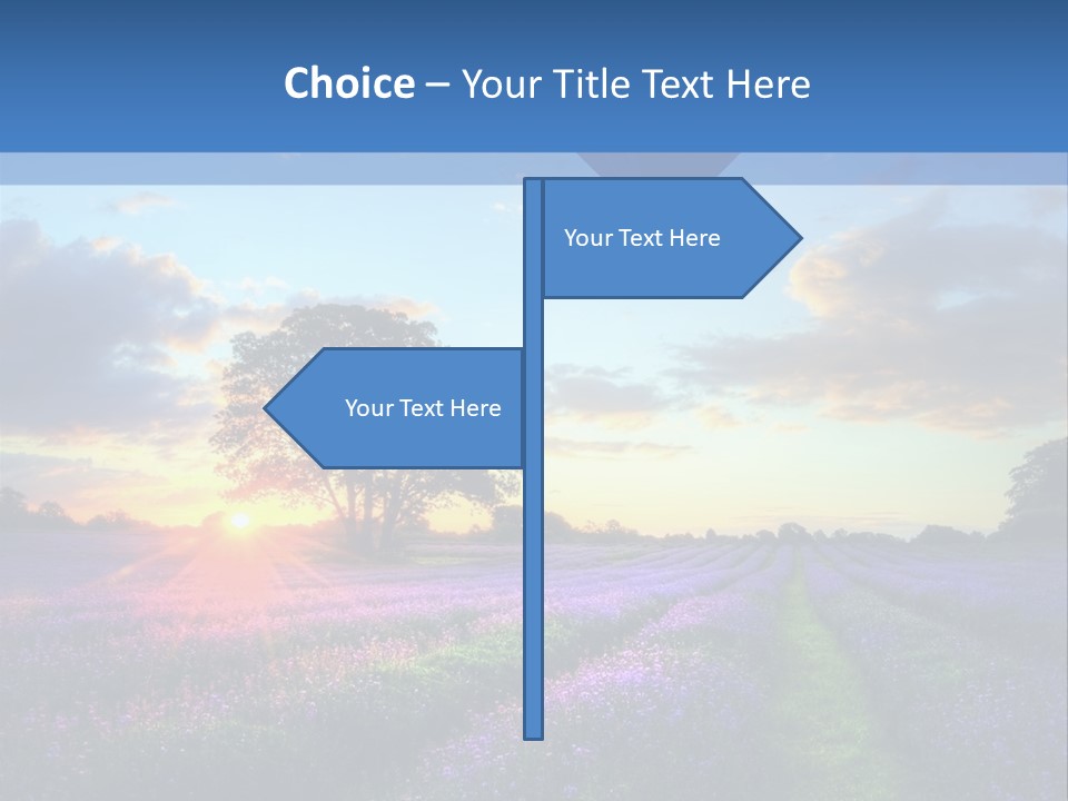 Beautiful Flying Evening PowerPoint Template