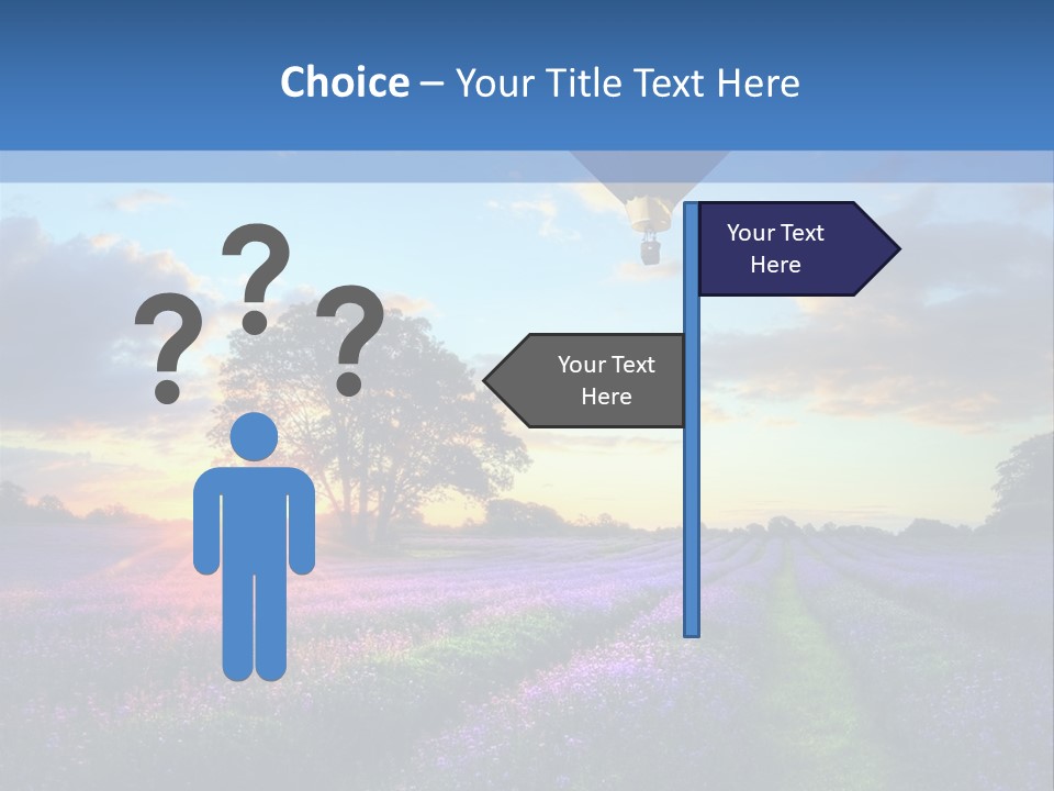 Beautiful Flying Evening PowerPoint Template
