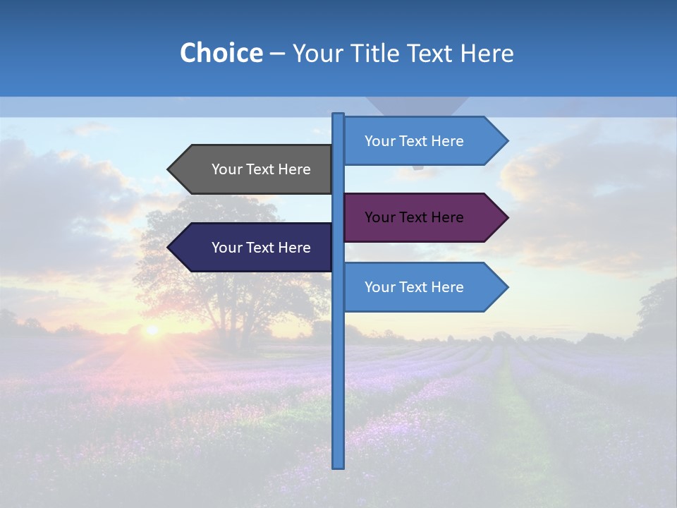 Beautiful Flying Evening PowerPoint Template