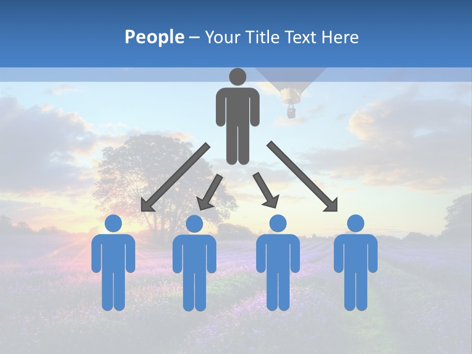 Beautiful Flying Evening PowerPoint Template