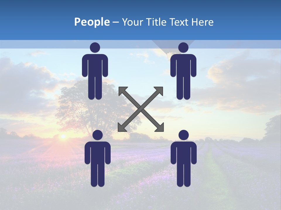 Beautiful Flying Evening PowerPoint Template