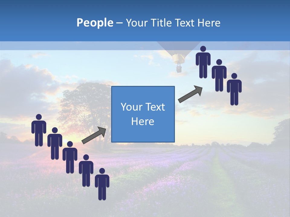 Beautiful Flying Evening PowerPoint Template