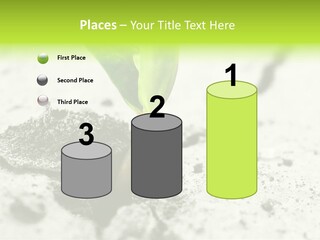 Nobody Root Rise PowerPoint Template