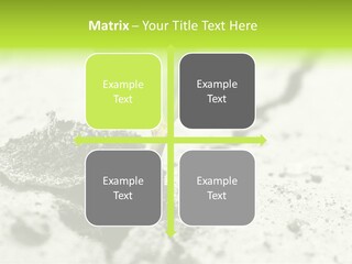 Nobody Root Rise PowerPoint Template