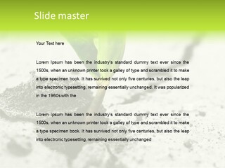 Nobody Root Rise PowerPoint Template