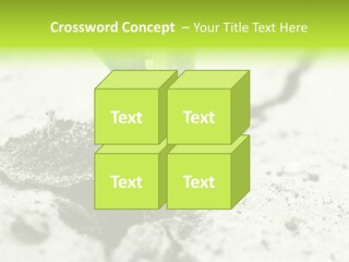 Nobody Root Rise PowerPoint Template