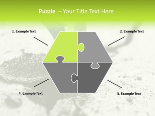 Nobody Root Rise PowerPoint Template
