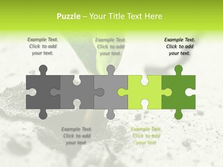 Nobody Root Rise PowerPoint Template