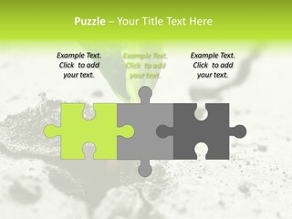 Nobody Root Rise PowerPoint Template