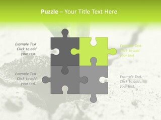 Nobody Root Rise PowerPoint Template