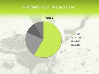 Nobody Root Rise PowerPoint Template