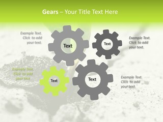 Nobody Root Rise PowerPoint Template