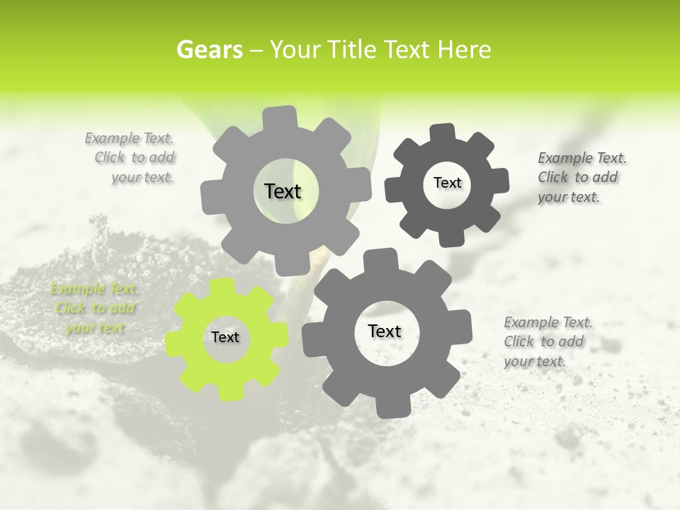 Nobody Root Rise PowerPoint Template