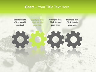 Nobody Root Rise PowerPoint Template