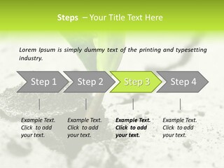 Nobody Root Rise PowerPoint Template