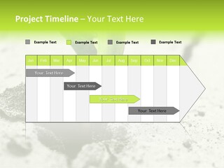 Nobody Root Rise PowerPoint Template