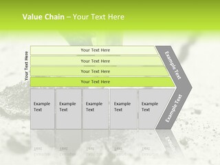 Nobody Root Rise PowerPoint Template
