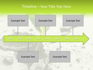Nobody Root Rise PowerPoint Template