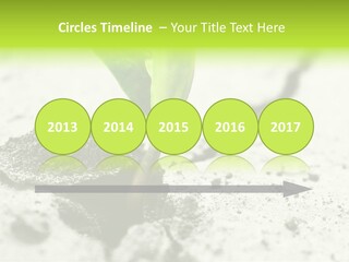 Nobody Root Rise PowerPoint Template