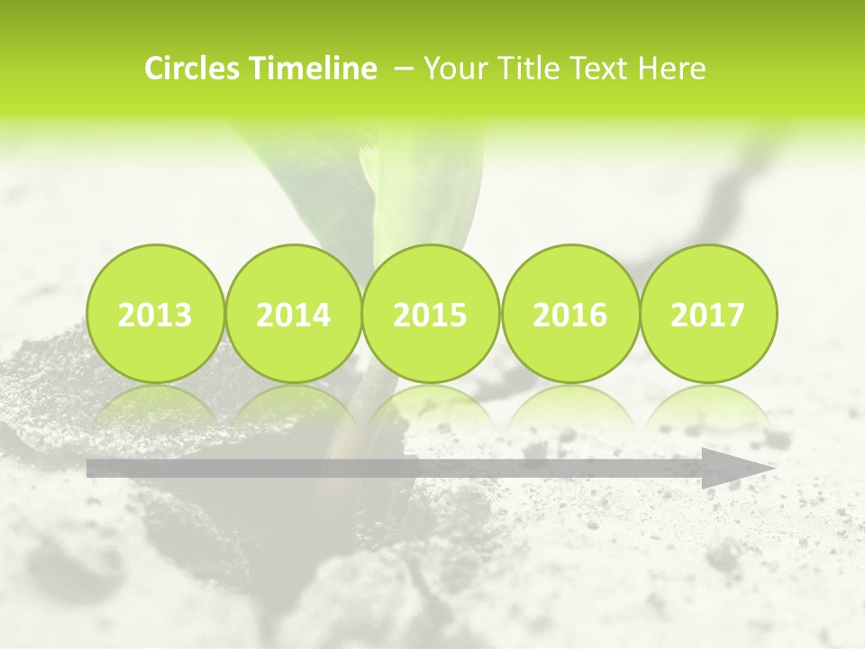 Nobody Root Rise PowerPoint Template