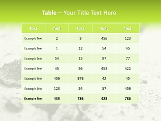 Nobody Root Rise PowerPoint Template