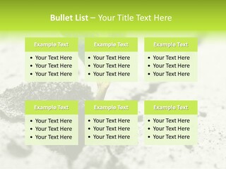 Nobody Root Rise PowerPoint Template