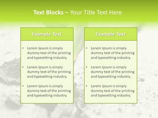 Nobody Root Rise PowerPoint Template