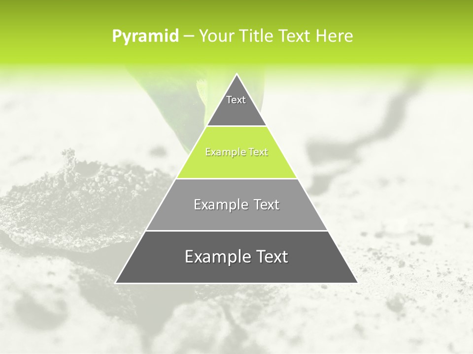 Nobody Root Rise PowerPoint Template