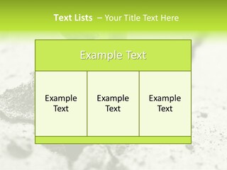 Nobody Root Rise PowerPoint Template