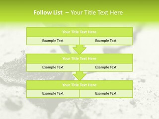Nobody Root Rise PowerPoint Template