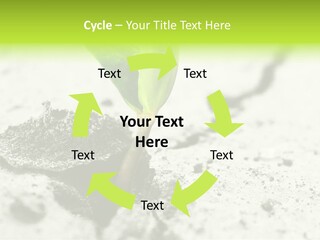 Nobody Root Rise PowerPoint Template