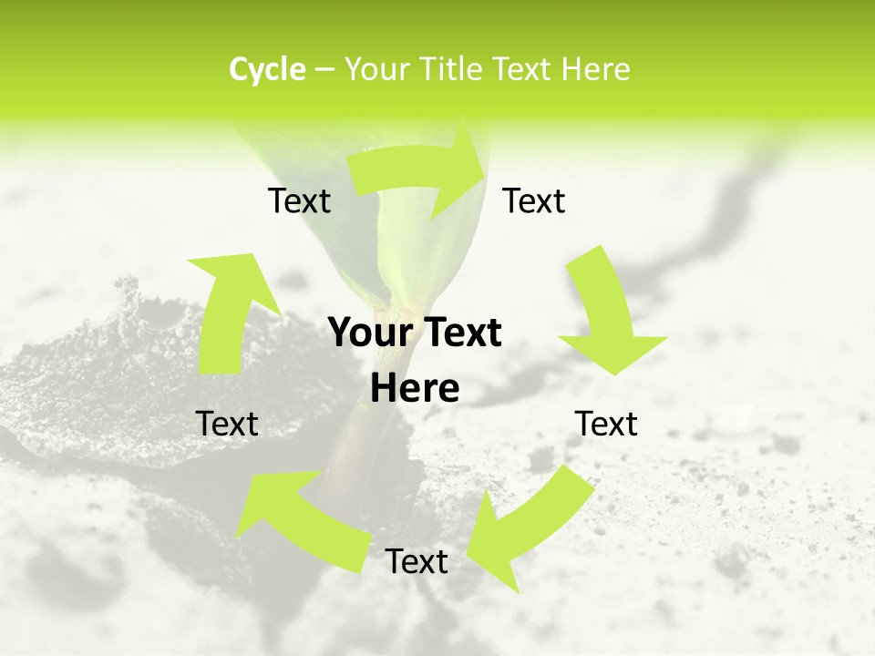 Nobody Root Rise PowerPoint Template