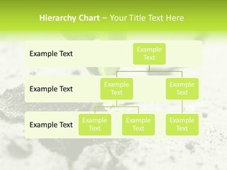 Nobody Root Rise PowerPoint Template