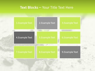 Nobody Root Rise PowerPoint Template