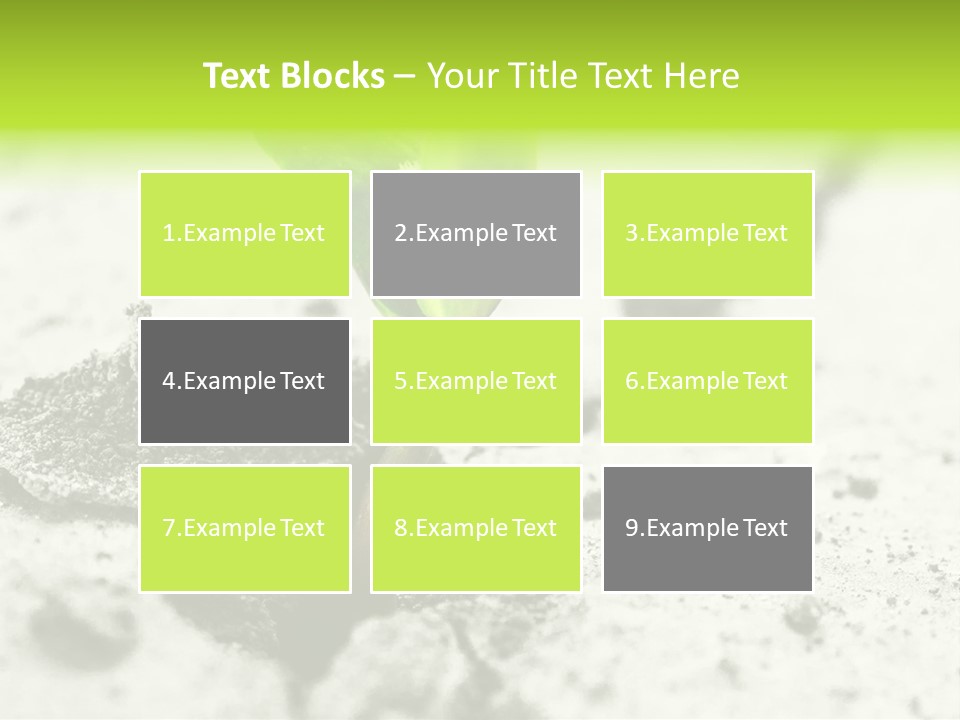 Nobody Root Rise PowerPoint Template
