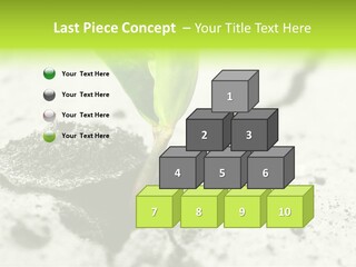 Nobody Root Rise PowerPoint Template