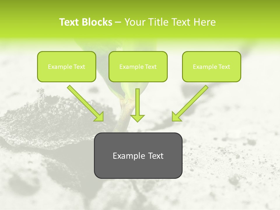 Nobody Root Rise PowerPoint Template