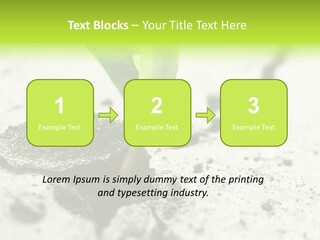Nobody Root Rise PowerPoint Template