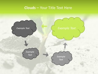 Nobody Root Rise PowerPoint Template