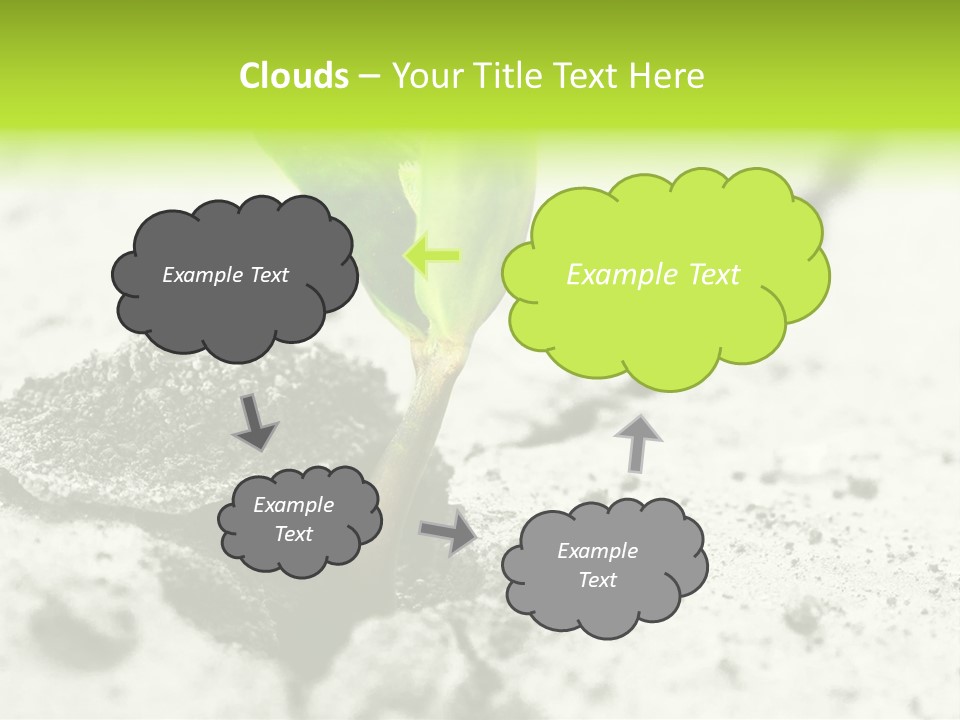 Nobody Root Rise PowerPoint Template