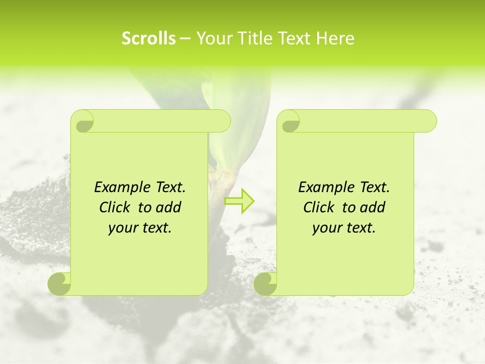 Nobody Root Rise PowerPoint Template