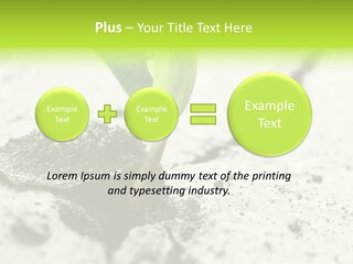 Nobody Root Rise PowerPoint Template