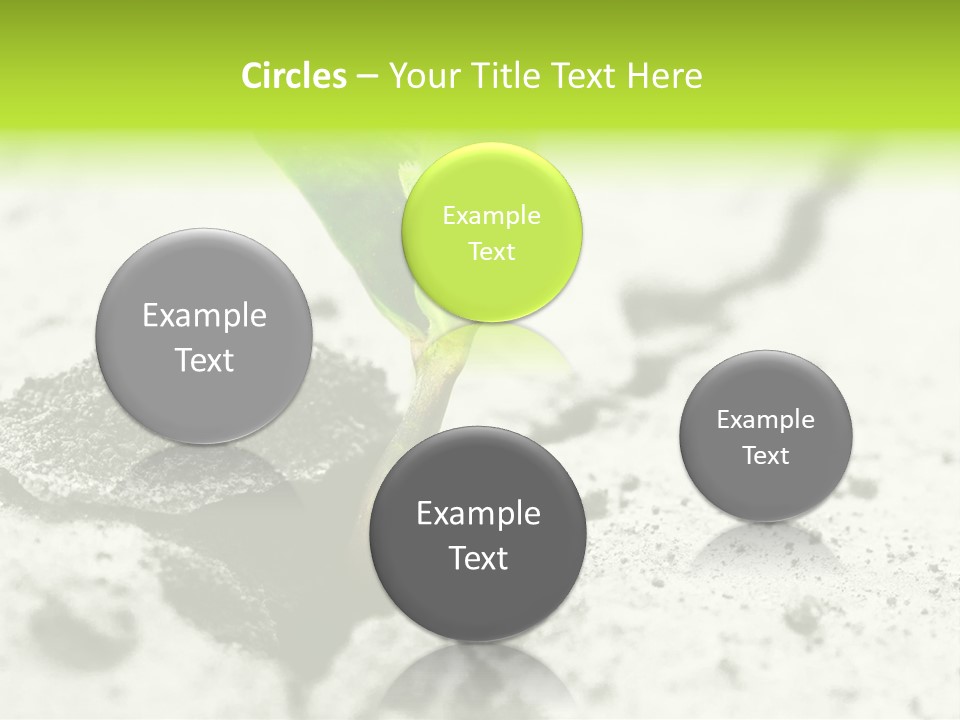 Nobody Root Rise PowerPoint Template