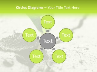 Nobody Root Rise PowerPoint Template