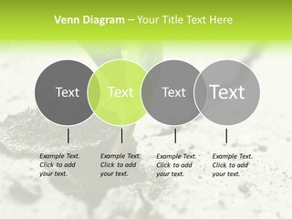 Nobody Root Rise PowerPoint Template