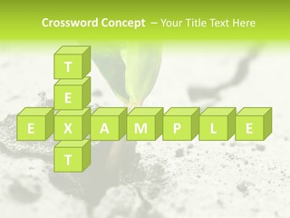 Nobody Root Rise PowerPoint Template