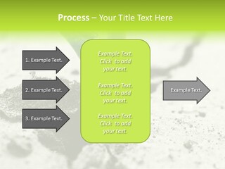 Nobody Root Rise PowerPoint Template